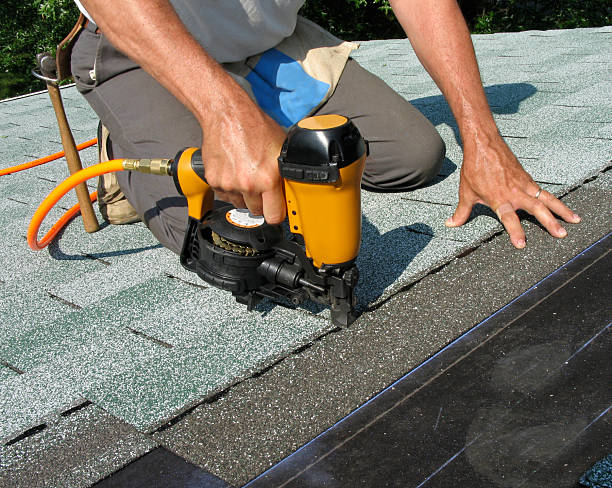 Best Roof Gutter Cleaning  in Angola, IN