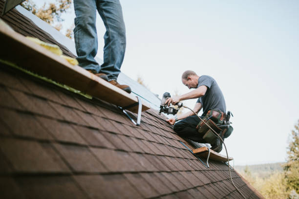 Best Roof Leak Repair  in Angola, IN